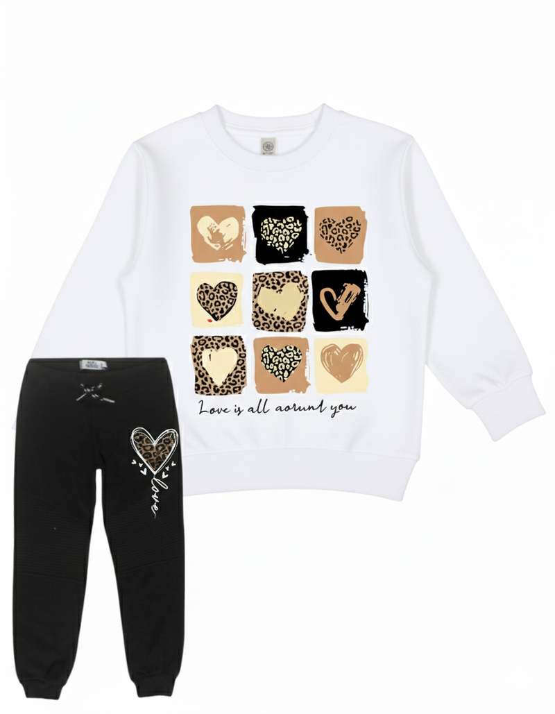 BABY SWEAT SHIRTS AND TROUSER SET